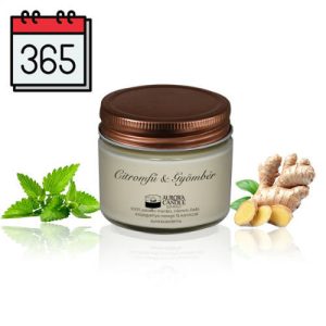 Aurora Vintage illatgyertya CITROMFŰ ÉS GYÖMBÉR